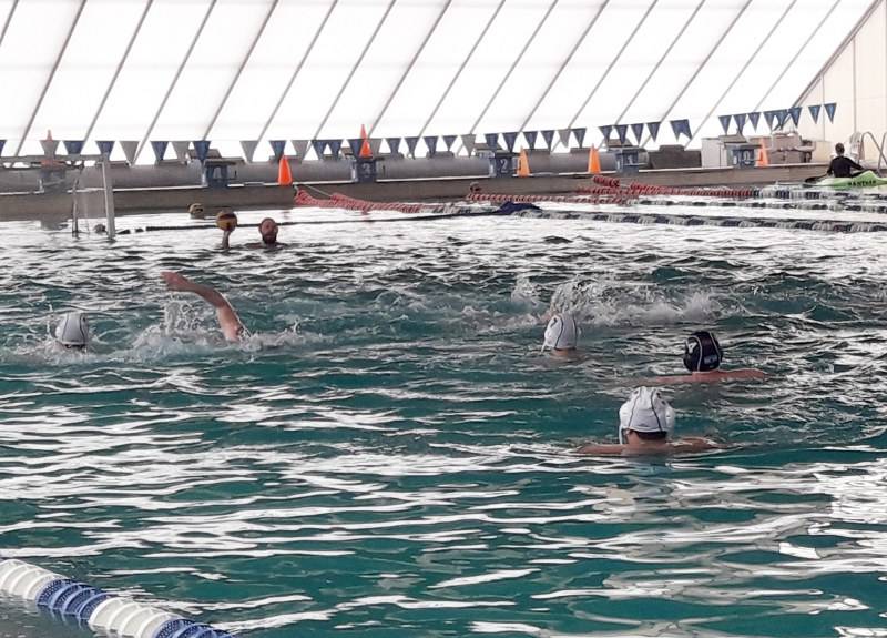 Federación de Natación Provincia de Buenos Aires Sur